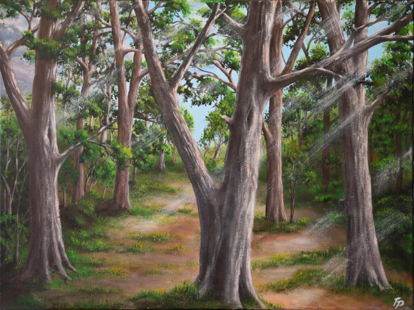 Waldlichtun6g 60x80 cm