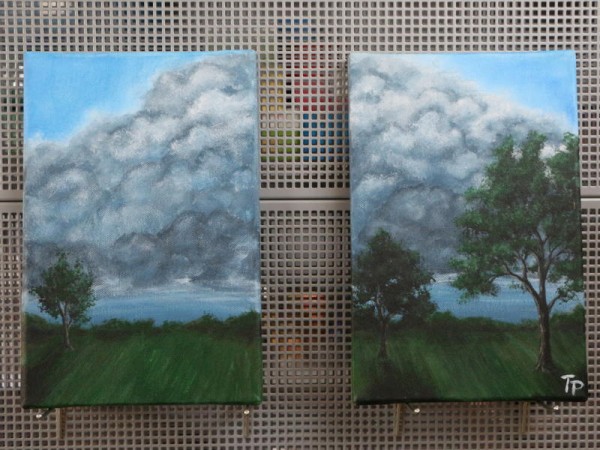 Gewitterwolke-1 30cmx20cm